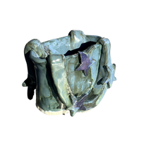 star bag